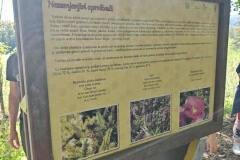 Messenger_creation_0840F426-C9F0-49C6-8D4A-0D5FE9151269