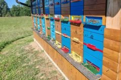 Messenger_creation_2AE9A62C-6DA1-47E8-AA26-5C3D72C07B96