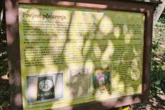 Messenger_creation_5D1B372F-FD32-49C3-BFD7-1F65DB87BBAB