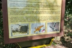 Messenger_creation_7DBD42EE-F3FE-4A88-BF4B-97FF92687FBD