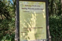 Messenger_creation_B92F359D-F6A5-4D41-BA6D-3C830A184C67