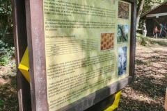 Messenger_creation_CE90E114-4E43-4458-89CE-0810637F1C49